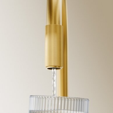 Braižyto aukso spalvos maišytuvas virtuvės plautuvei su filtruoto vandens sistema Omnires Switch 1