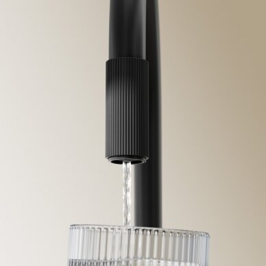 Juodos matinės spalvos maišytuvas virtuvės plautuvei su jungtimi vandens filtravimo sistemai Omnires Switch 1