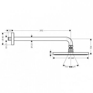 Stacionari dušo galva Hansgrohe Raindance S 24 cm 3